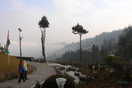 Ooty tour packages