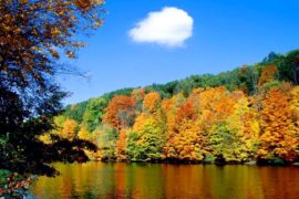 Dharamshala Tour Package : Himachal Package